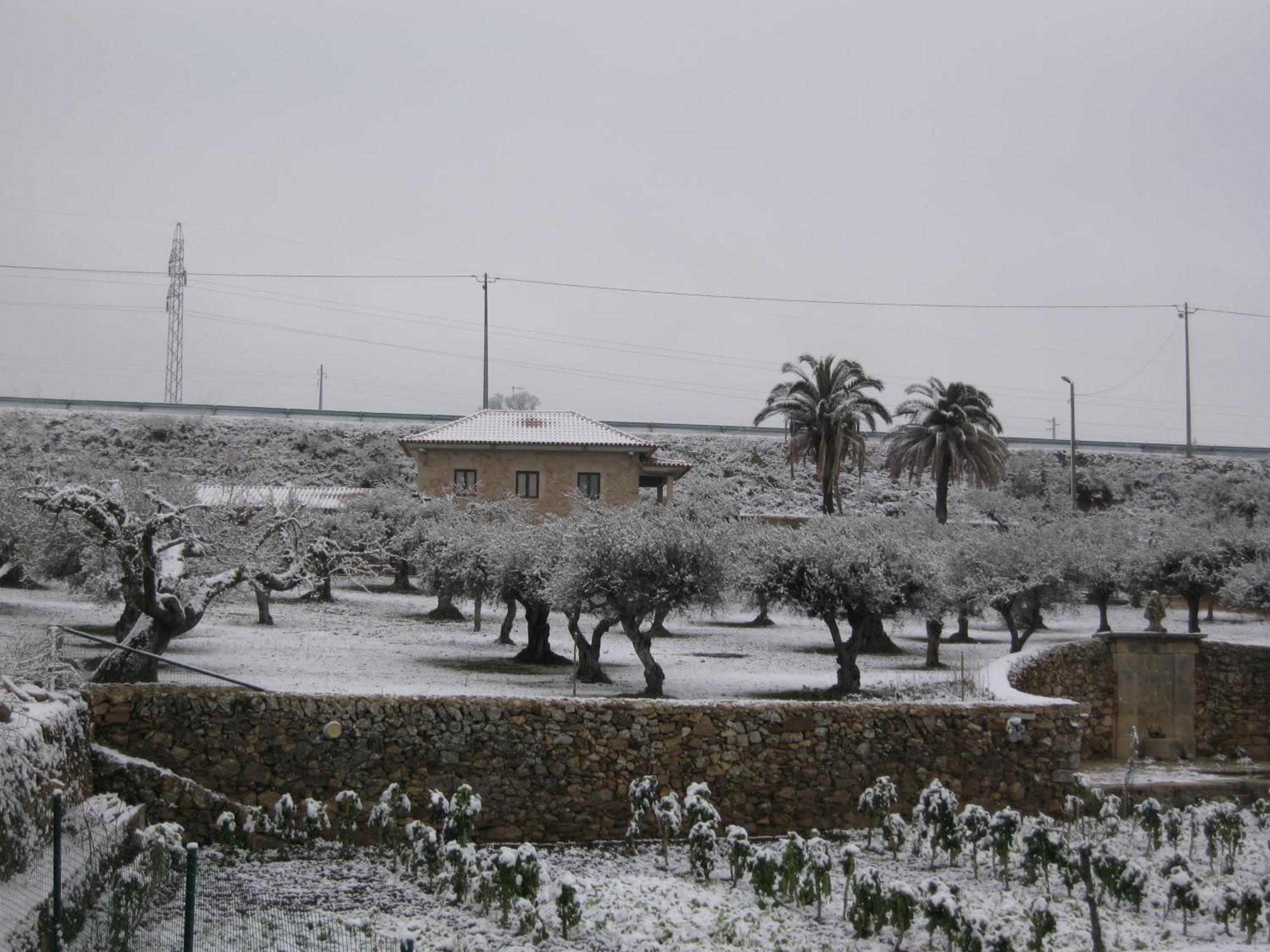 Quinta Das Pias - Holiday Farm Pinhel Exterior photo