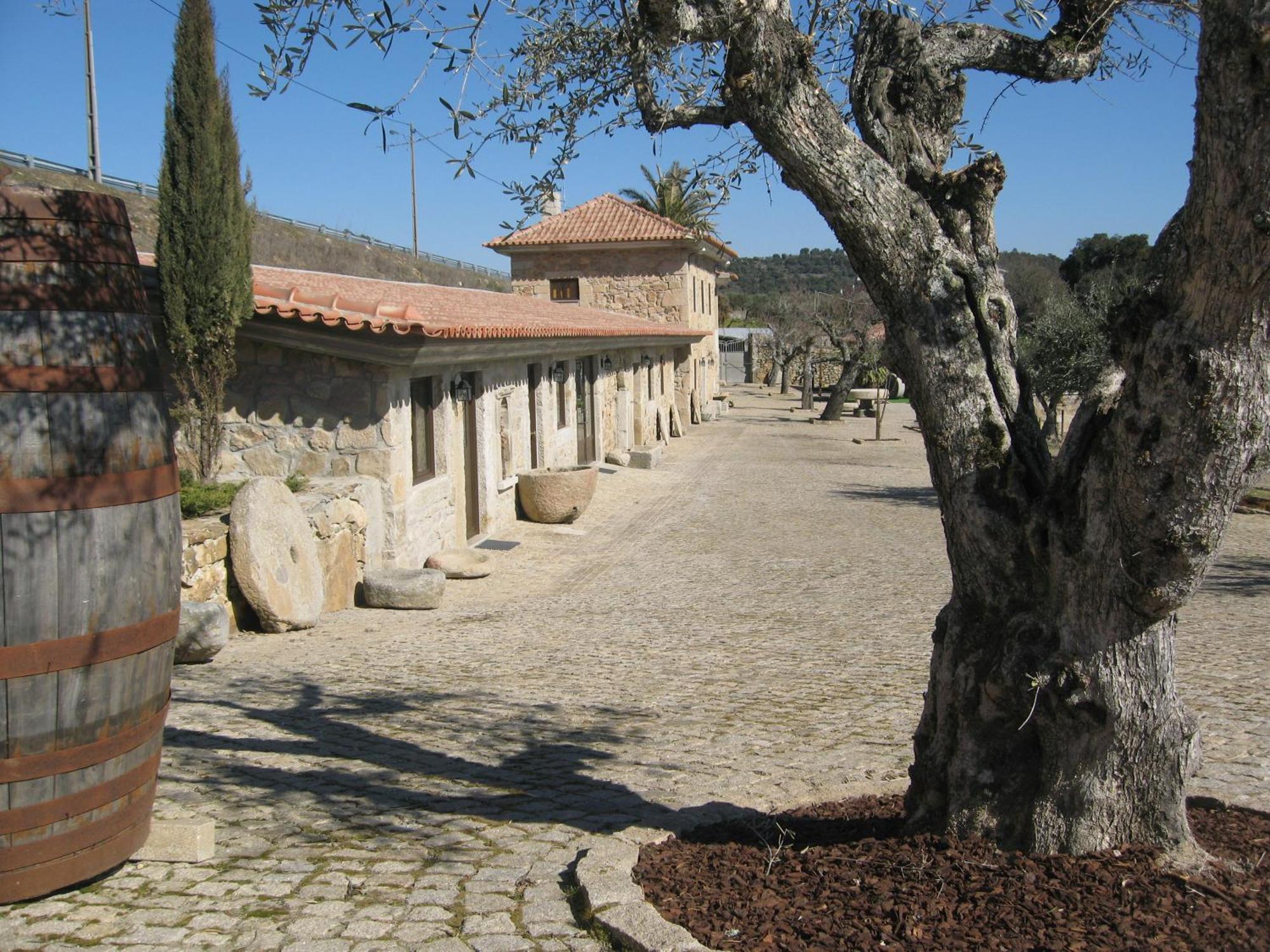 Quinta Das Pias - Holiday Farm Pinhel Exterior photo