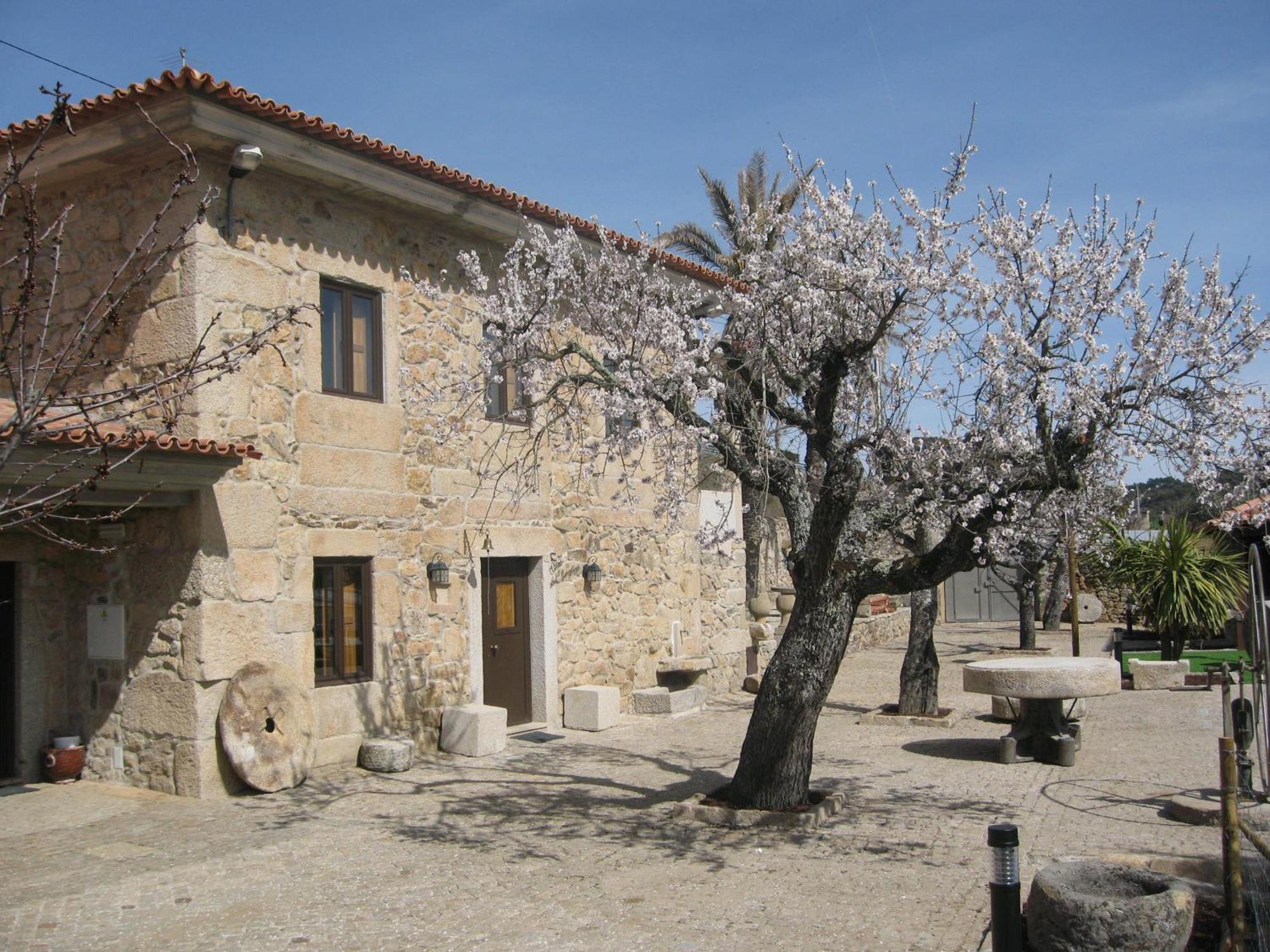 Quinta Das Pias - Holiday Farm Pinhel Exterior photo