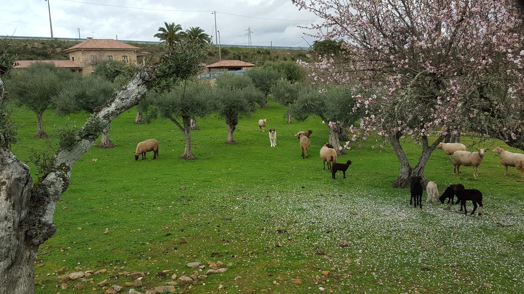 Quinta Das Pias - Holiday Farm Pinhel Exterior photo